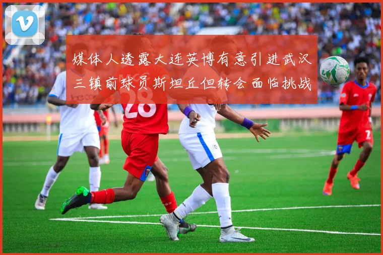 媒体人透露大连英博有意引进武汉三镇前球员斯坦丘但转会面临挑战