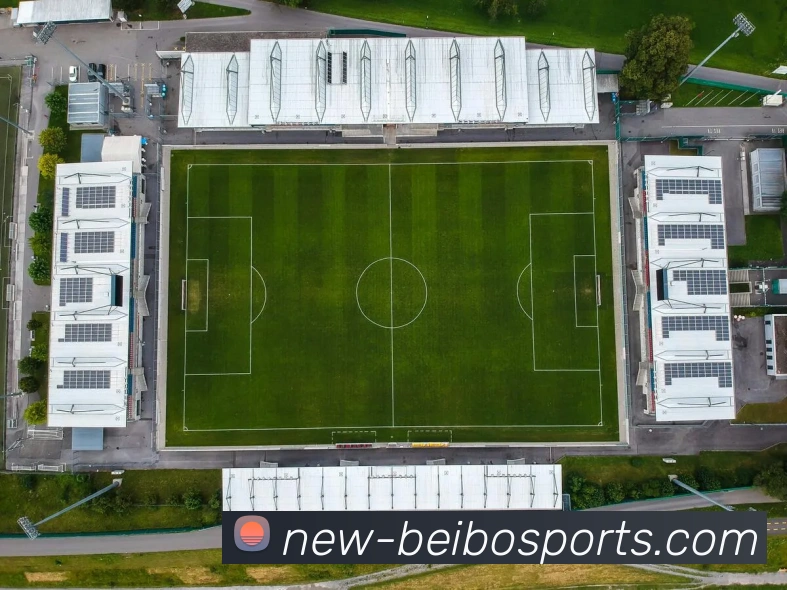 App Interface Preview