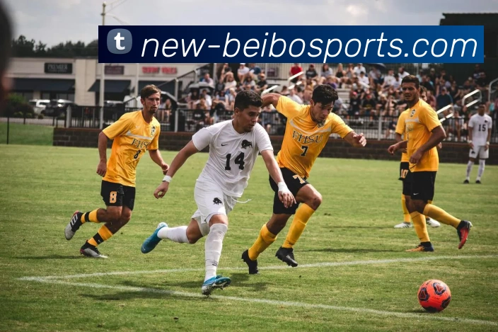 贝博体育APP 封面图